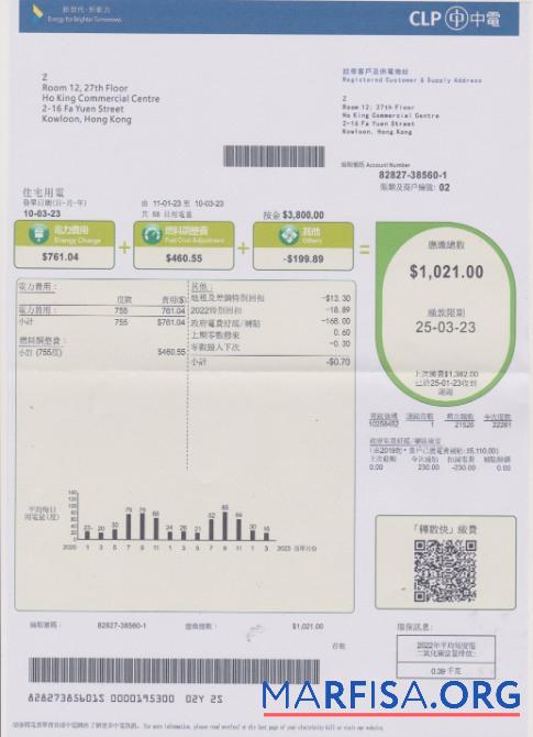 Blank Hong Kong CLP power utility bill example